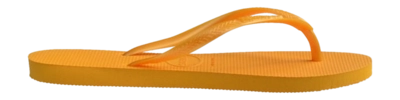 4000030_1740_C-_no-bg