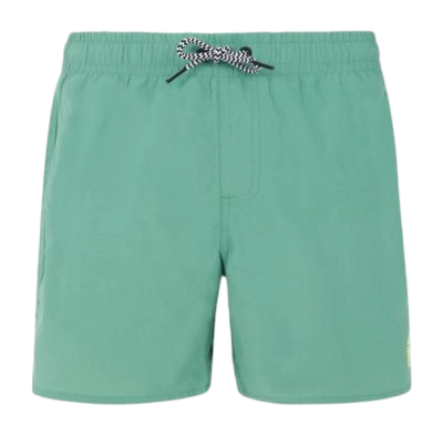 Short de Plage Protest Garçon Culture Frosty Green