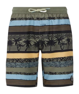 Beachshort Protest Boys Prtfrisby Artichoke Green 24