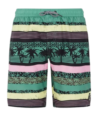Short de Plage Protest Garçon Prtfrisby Frosty Green