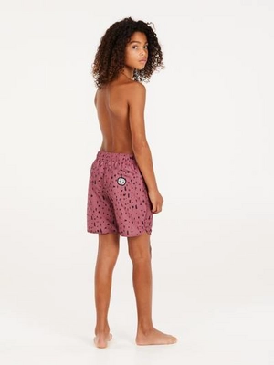 6---resize (12)