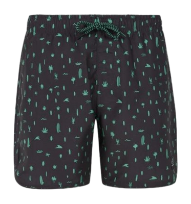 Beachshort Protest Boys Prtsaul Deep Grey 24