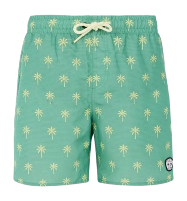 Short de Plage Protest Garçon Prtfonz Frosty Green