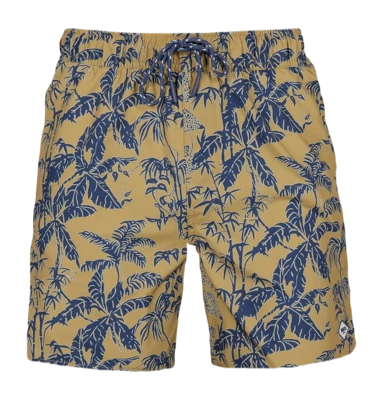 Short Barts Homme Baltra Shorts Caramel