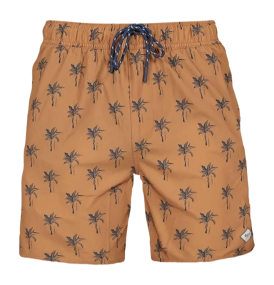 Zwembroek Barts Men Bernardou Shorts Terra