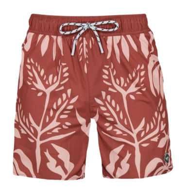 Maillot de Bain Barts Men Torresk Shorts Burgundy