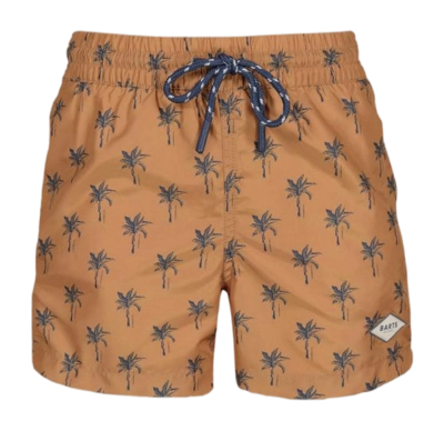 Maillot de Bain Barts Boys Bernardou Shorts Terra