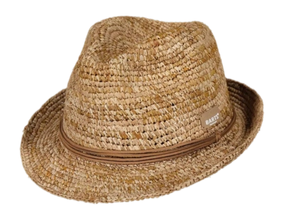 Chapeau Barts Men Orchilla Hat Naturel
