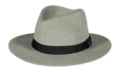 Hat Barts Unisex Aveloz Hat Sage