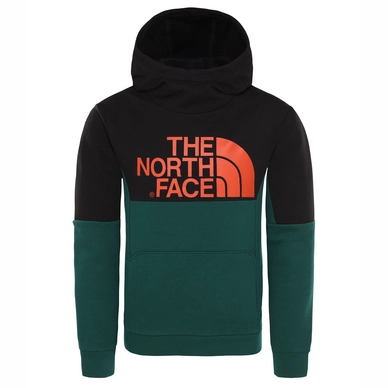 Trui The North Face Youth South Peak Hoody Night Green TNF Black
