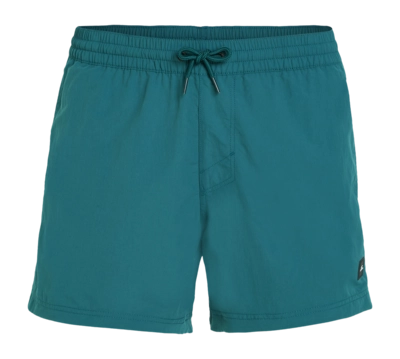 Zwembroek O'Neill Men Jack O'Neill Vert Retro 14 inch Beetle Juice