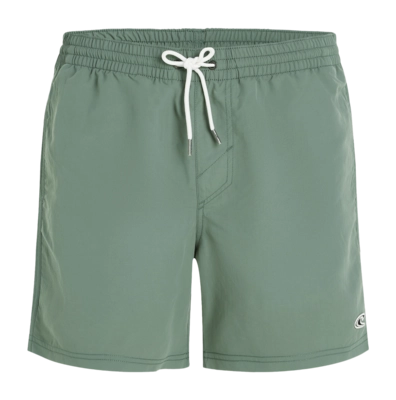 Swimming Trunks O'Neill Men Vert 16 inch Lily Pad