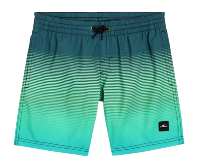 Swimming Trunks O'Neill Boys Jack O'Neill Cali Gradient 14 inch Beetle Juice Simple Gradient Panel