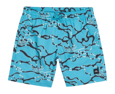 Swimming Trunks O'Neill Boys Jack O'Neill Cali Crazy 14 inch Light Blue Ocean View