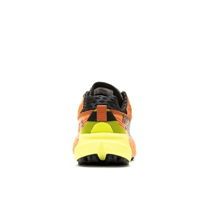 5---MRLM-J068101-021323-S24-270