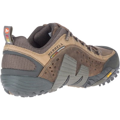 4---intercept--moth-brown_2785_2