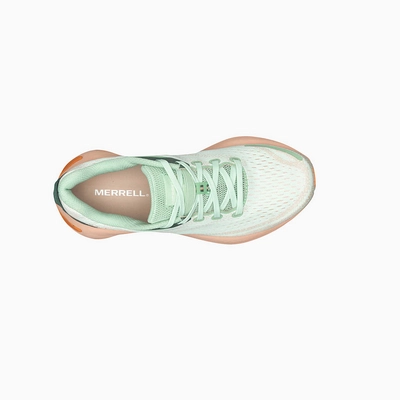 MRLW-J068140-032723-S24-TOP