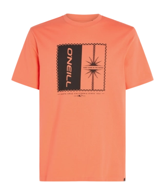 T-Shirt O'Neill Men Mix & Match Palm Living Coral