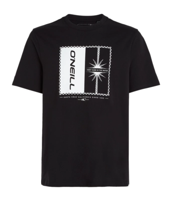 T-Shirt O'Neill Mix & Match Palm Herren Black Out