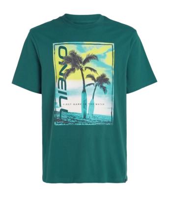 T-Shirt O'Neill Homme Jack Neon Beetle Juice