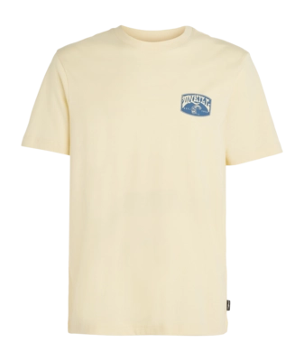 T-shirt O'Neill Homme Plage Graphique Paris Daisy