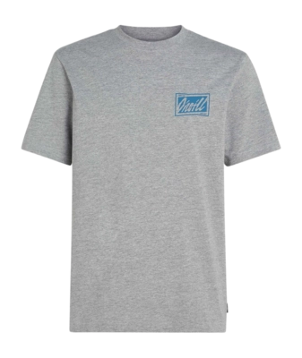 T-Shirt O'Neill Men Beach Graphic Silver Melee '25