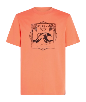 T-Shirt O'Neill Homme Mix & Match Wave Living Coral