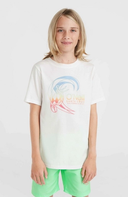 3---4850082_11010_01_MODEL