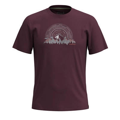 T-Shirt Smartwool Unisex Never Summer Mountain Graphic Short Sleeve Tee Slim Fit Eggplant