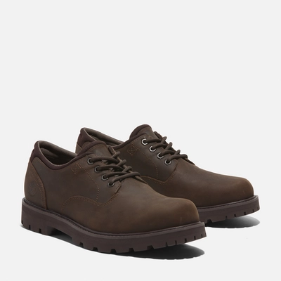 4---Britton-Road-LaceUp-Waterproof-Shoe-for-Men-in-Dark-Brown (3)