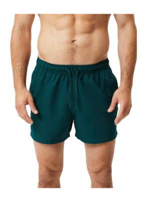 Swimming Shorts Björn Borg Men Borg Solid Swim Shorts Ponderosa Pine '24