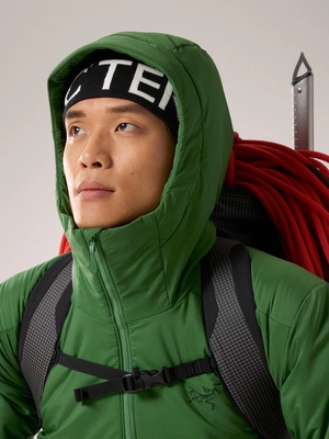 6---F24_X000007302_020137_Atom Heavyweight Hoody_Eden_Men_M_Hood