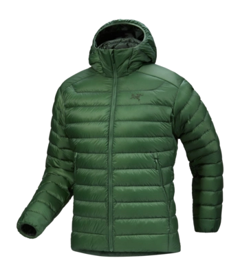 Veste Arc'teryx Homme Cerium Hoody Eden