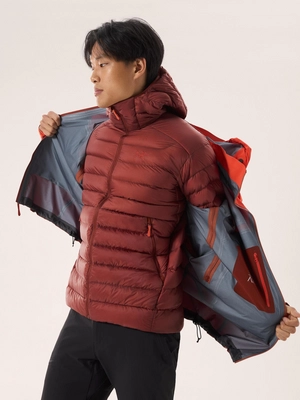 5---F24_X000007313_021430_Cerium Hoody_Sequoia - Solaris_Men_M_Hover