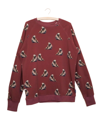 Pull SNURK Homme Sloth