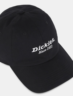 Pet Dickies Unisex Twill Dad Hat Black