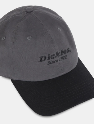 Pet Dickies Unisex Twill Dad Hat Graphite
