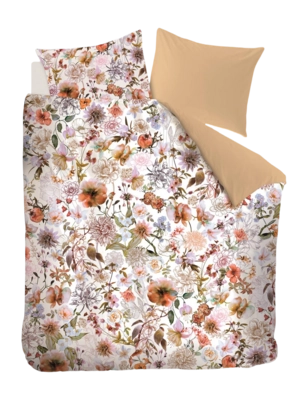 5---326549_10-_no-bg