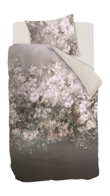 7---326557_10-_no-bg