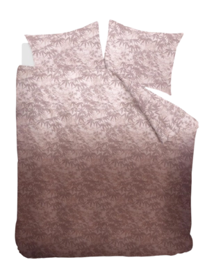3---326759_10-_no-bg
