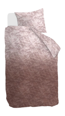 4---326758_10-_no-bg