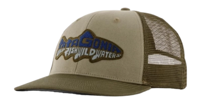 Casquette Patagonia Unisexe Take a Stand Trucker Hat Wild Waterline: River Rock Green