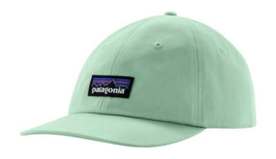 Pet Patagonia Unisex P-6 Label Trad Cap Rinsed Green