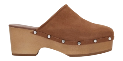 Sabots Scholl Women Hailey Suède Te Brandy