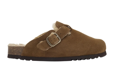 Clog Scholl Women Fae New F Suede Sa Taupe