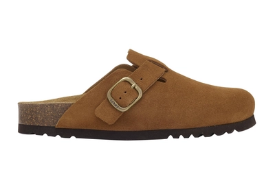 Clog Scholl Fae New Suede F Damen Cognac