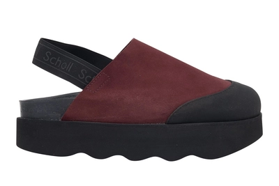 Clog Scholl Abby E Suede Damen Plum