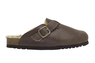 Clog Scholl Women Fae New F Leather Coffee