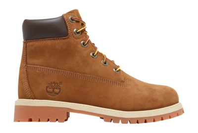 Timberland Junior Premium 6 Inch Lace WP Brown
