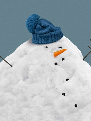 6---FW24_Fabric_mr._snowman_placement